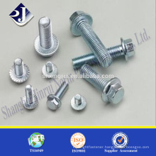 Trade assurance High strength din6921 flange hex bolt